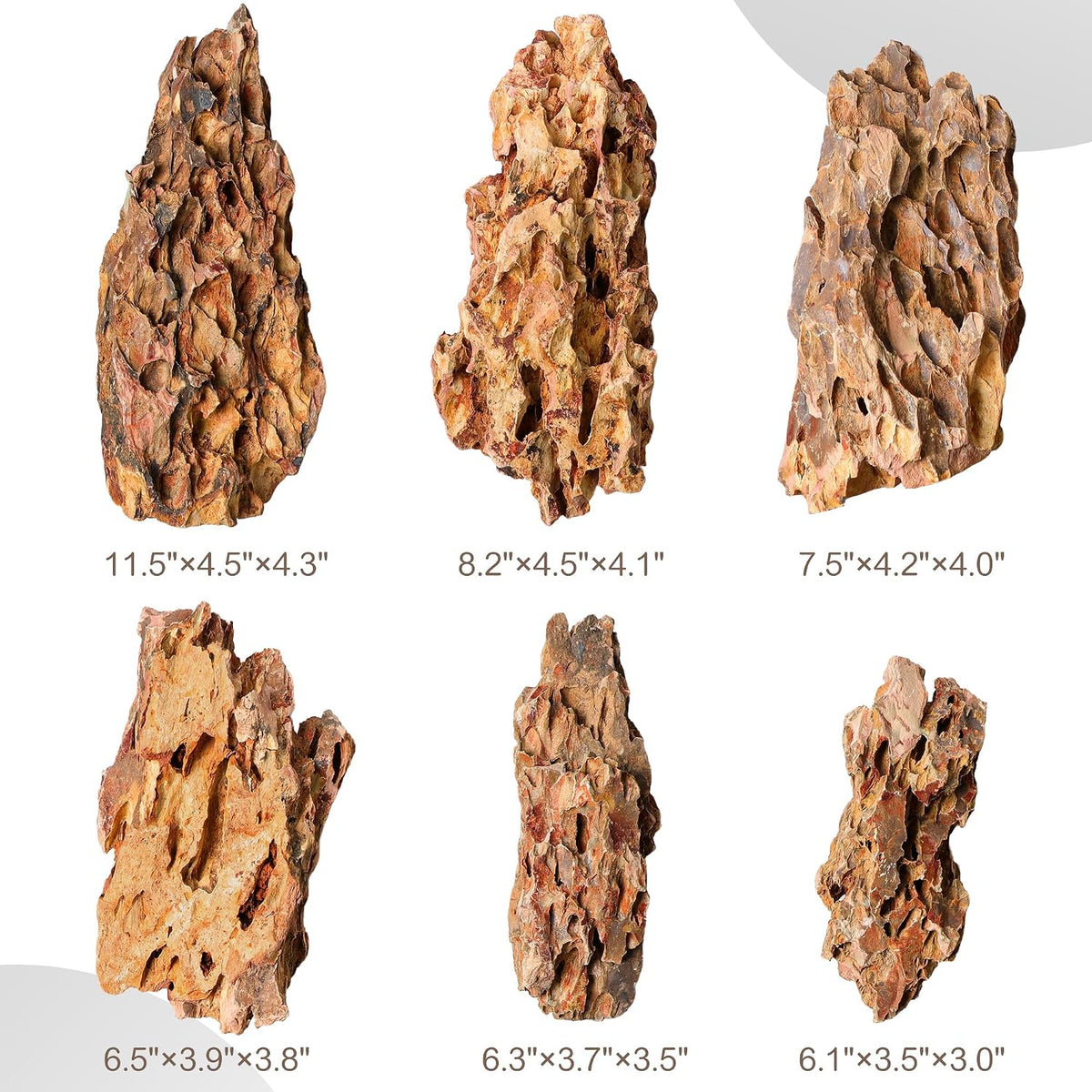 6.1-8.1 Inches Natural Dragon Stone, Terrariums - 6.1-8.1 in - image 3
