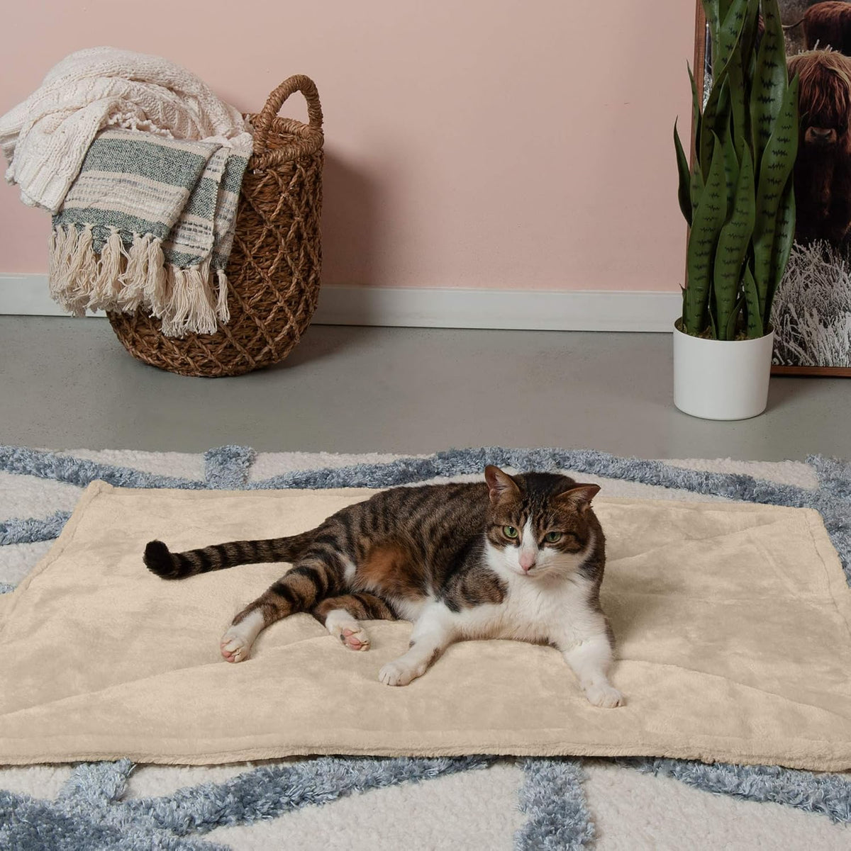 FurHaven ThermaNAP Self Warming Cat Mat - Large - 36"L x 24"W (Pack of 2) / 크림 - image 3