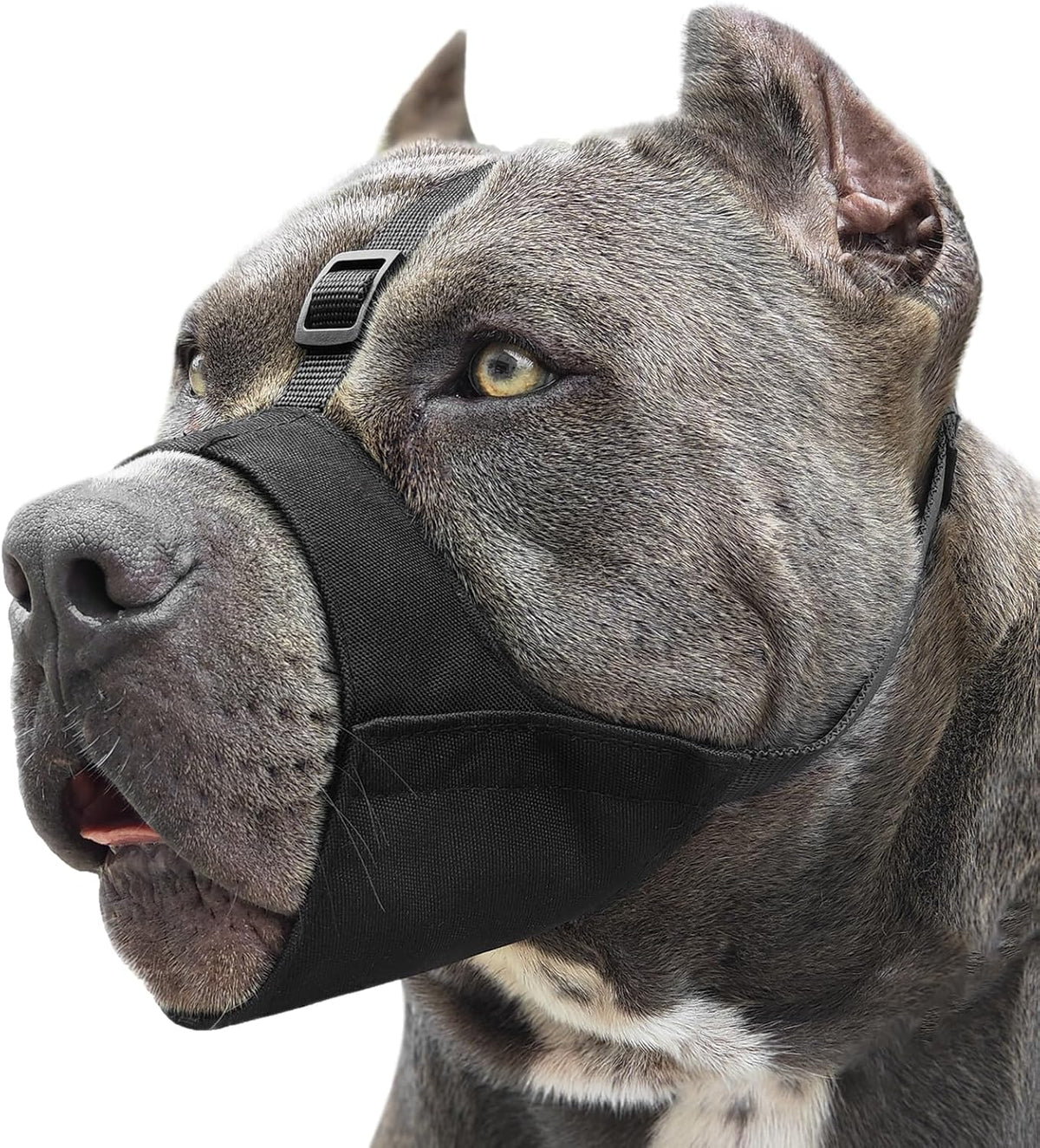 Soft Fabric Dog Muzzle for Pitbull Rottweiler Anti Fierce Biting – Essentials for Dogs - Black / XXL [Snout Cir: 12.5"-13.75"]