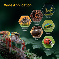 Jumping Spider Enclosure Starter Kit - Blue / Small - image 4