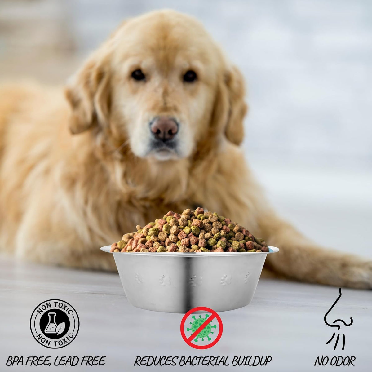Pet Feeder Stainless Steel Dog Bowls Replacement 8" Diameter 2-Pack – Essentials for Dogs - 8 cup (Embossed) / Double Pack - image 4