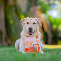smallbatch Freeze Dried Dog Treats, Chicken Liver Treats for Dogs & Cats, High Protein, Single Ingredient Dog Treat for Training or Food Topper, Natural, Humanely Sourced Meat, Made in the USA, 3.5 oz