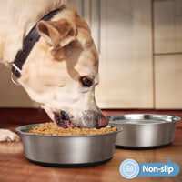 Stainless Steel Dog Bowls Set of 2 - Type B: 8 Cups - image 4