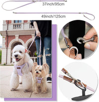 Puppytie Small Dog Harness and Leash Set, Pink, S – Essentials for Dogs - Purple / XS(4.5-11lb） - image 4