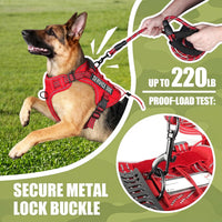 Dog Harness and Leash Set for Large Dogs - Red / M - image 3