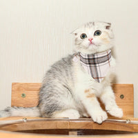 Fall Cat Collar with Bowtie - 7.5"- 10.5" / Beige - image 3
