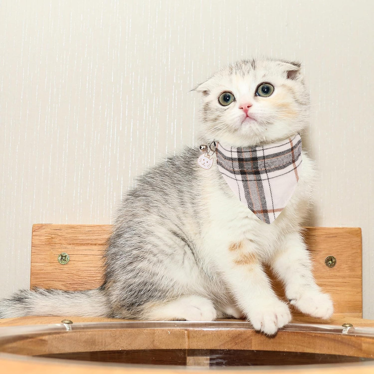 Fall Cat Collar with Bowtie - 7.5"- 10.5" / Beige - image 3