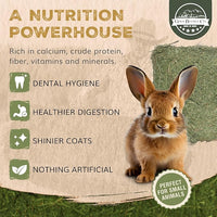 40lb Freshly Dried Organic Alfalfa Hay for Guinea Pigs, Rabbits, Chinchillas, Goats, Hamsters & Ferrets, Small Animal Food Rich in Protein & Fiber, Hand-Selected, Hand sorted, USA Grown