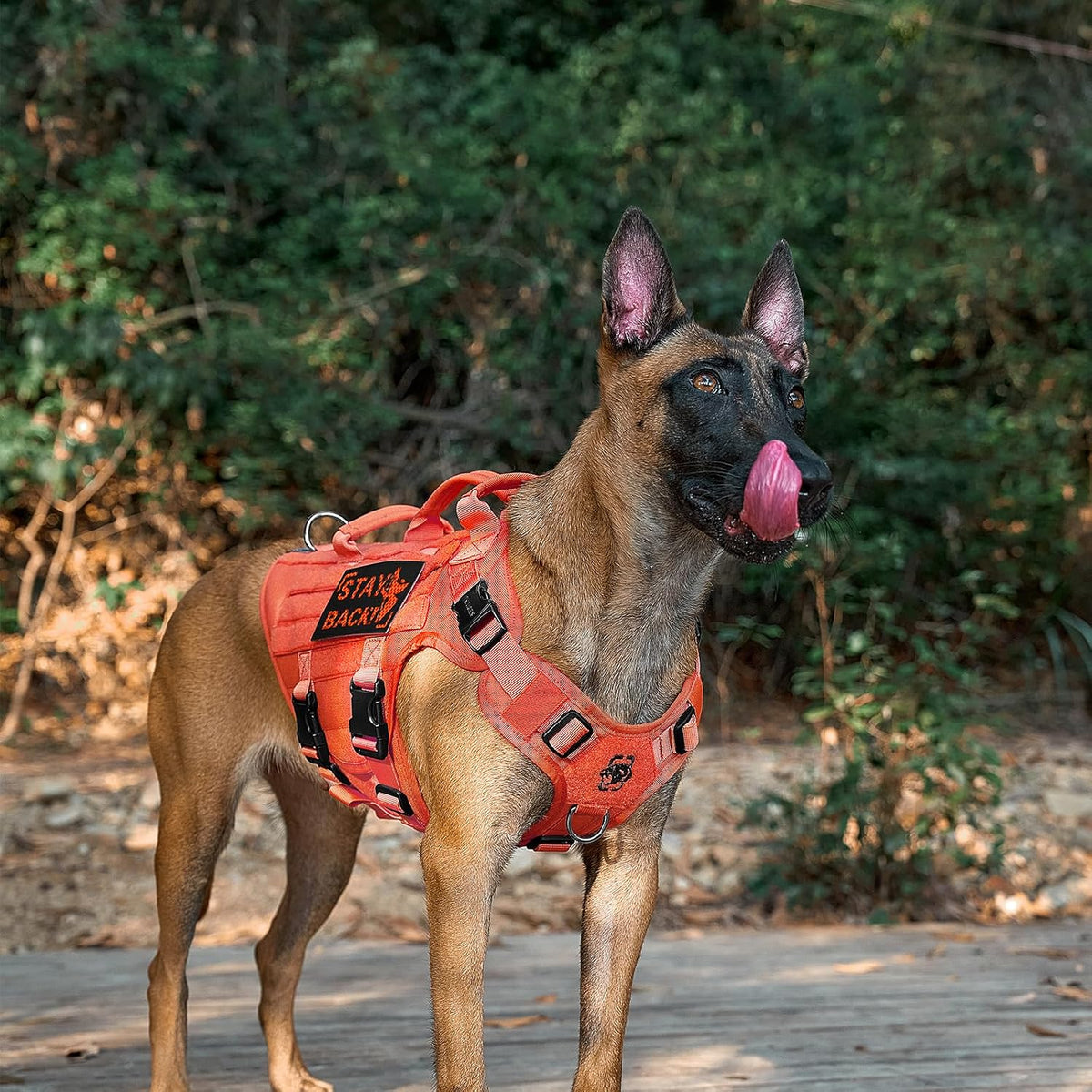 OneTigris Large Tactical Dog Harness No Pull Handle XL Black – Essentials for Dogs - Medium / Orange - image 4