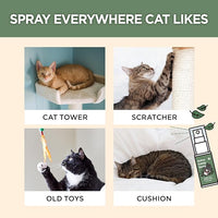 JAYU PET Active Catnip Spray - High Potency Transparent Liquid Spray made of Fresh Organic Catnip for Indoor Cats and Kittens, Relieves Stress, Calming, Revives Toys (1fl oz) (Catnip Spray, 1fl oz)