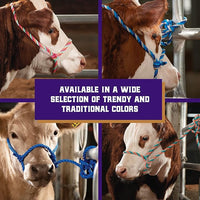 Weaver Leather Livestock Cattle Poly Rope Halter