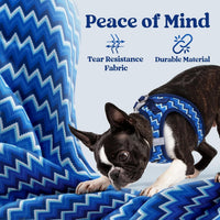 rabbitgoo Step-in Small Dog Harness - Blue Zigzag / Xs(chest:13.3"-15.5") - image 4