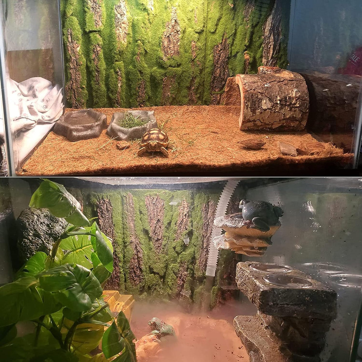 PINVNBY Reptile Terrarium Cork Background - 【Natural Cork Bark+Artificial Moss】 / 【4 PCS】 - image 2