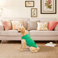 Fleece Dog Hoodie with Pouch, Green S – Essentials for Dogs - XX-Large / Green - image 3