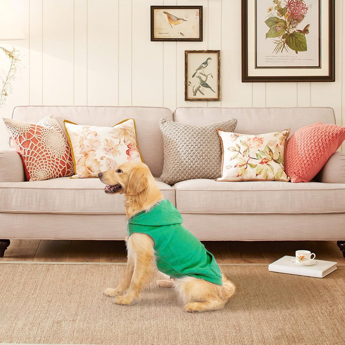 Fleece Dog Hoodie with Pouch, Green S – Essentials for Dogs - XX-Large / Green - image 3