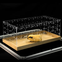 GuineaLoft Model-A Acrylic Guinea Pig Cage - Model-C2