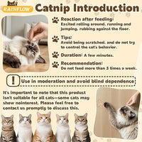 80PCS Catnip - Cat Nip for Cats Natural Dried Catnip Treats Premium Cat Nip Perfect for Toys, Training Rewards, Stress Relief, Freshly Harvested Bag Bulk Pack,2.8OZ
