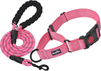 Haapaw Escape-Proof Martingale Dog Collar - Pink / L / 1 Collar + 1 Leash