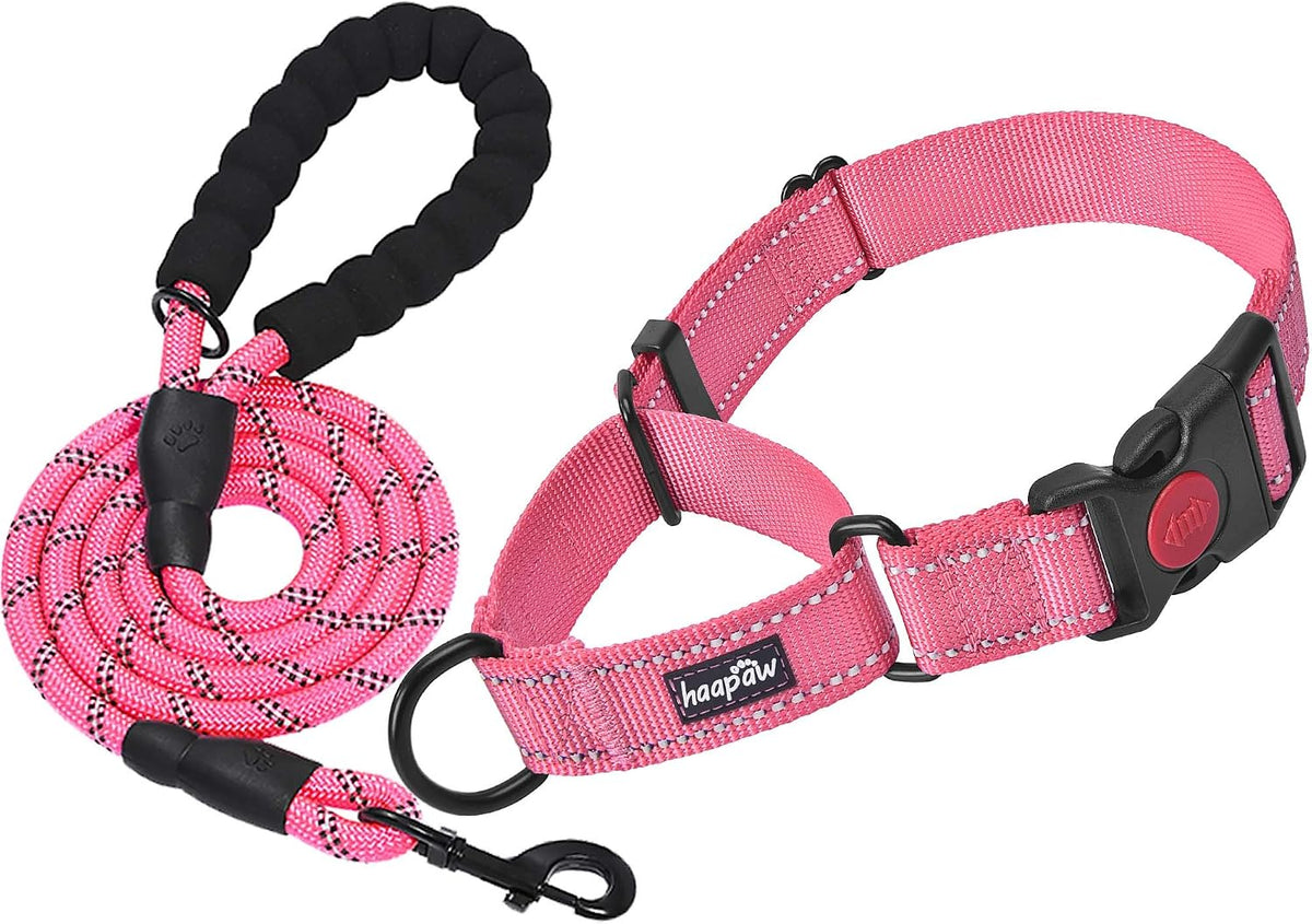 Haapaw Escape-Proof Martingale Dog Collar - Pink / L / 1 Collar + 1 Leash