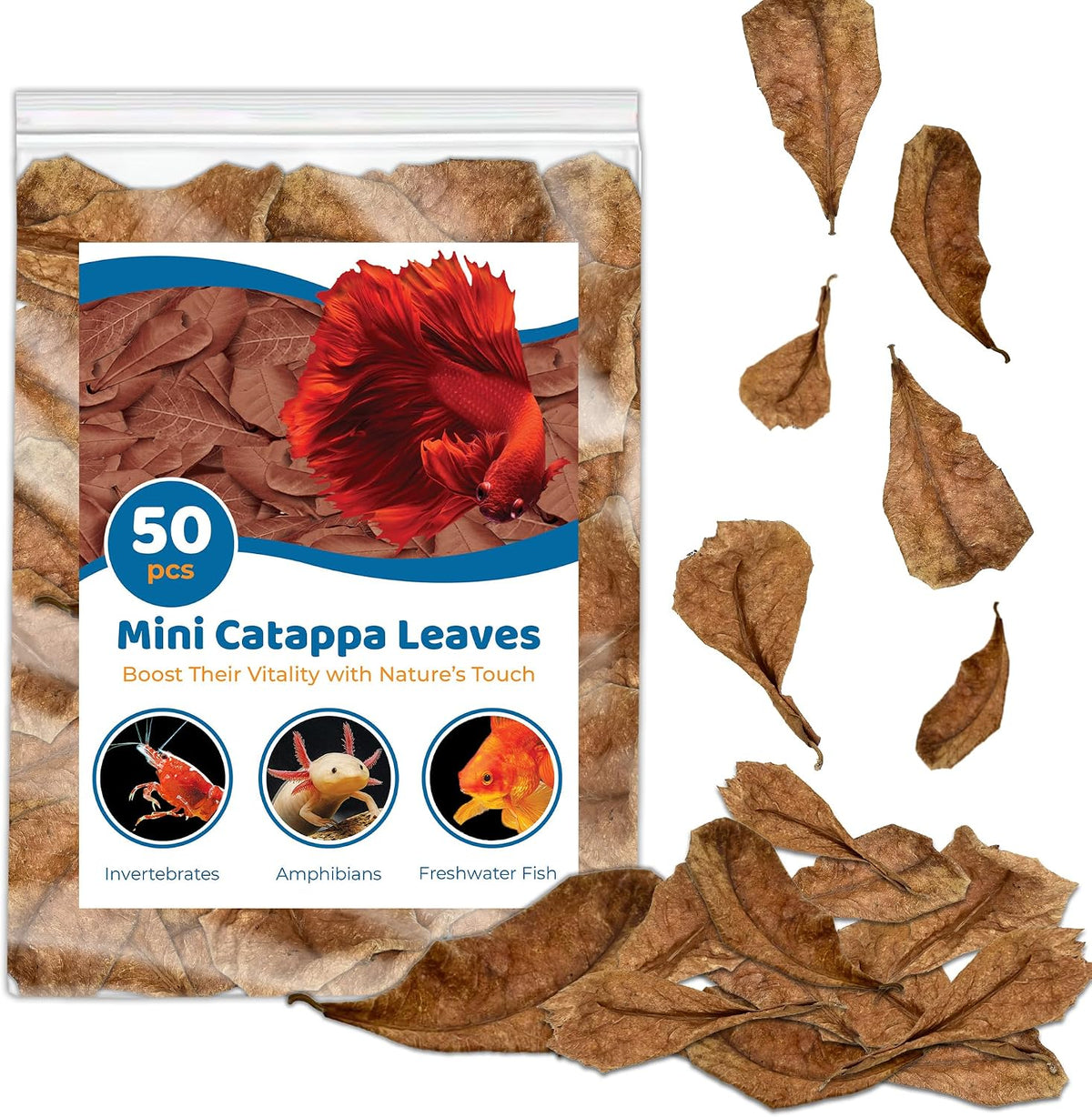SunGrow pack of 50 mini catappa Indian almond leaves for betta aquariums