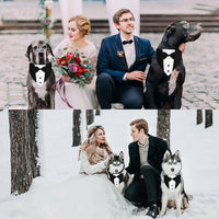 GOYOSWA Dog Tuxedo Suit Wedding Bandana Collar with Bow Tie - Small: Neck 12.5"-21" (Pack of 3) - image 3