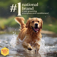 Burts Bees for Pets Oatmeal Dog Shampoo with Honey - Unscented / 32 Fl Oz (Pack of 1) - image 3