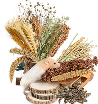 Natural Ear of Grain Flower&Herb Bedding Mate Habitat Decor - Harvest Wind