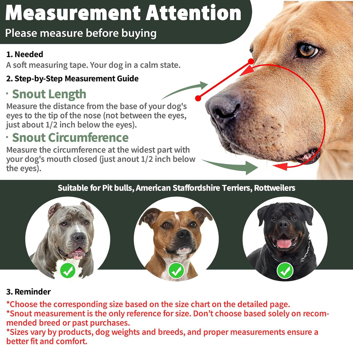 Pitbull Dog Muzzle for Large Medium Dogs Prevent Biting Scavenging – Essentials for Dogs - Green / M [Snout Cir: 9.75"-11"] - image 2