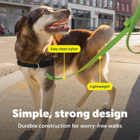 PetSafe Nylon Dog Leash, Strong, Durable - 3/4 in. x 6 ft. / Apple Green - image 3