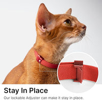 Safety Cat Collar Pro - U.S. IDA Gold Awarding Design, Elastic Quick Release Cat Collar with Buckle Non Breakaway - Lightweight for Kitten All Small Large Cats (Blush Pink, S 5.9-11.8")