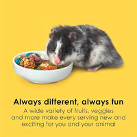 Kaytee Fiesta Hamster Gerbil, 2.5-Pound