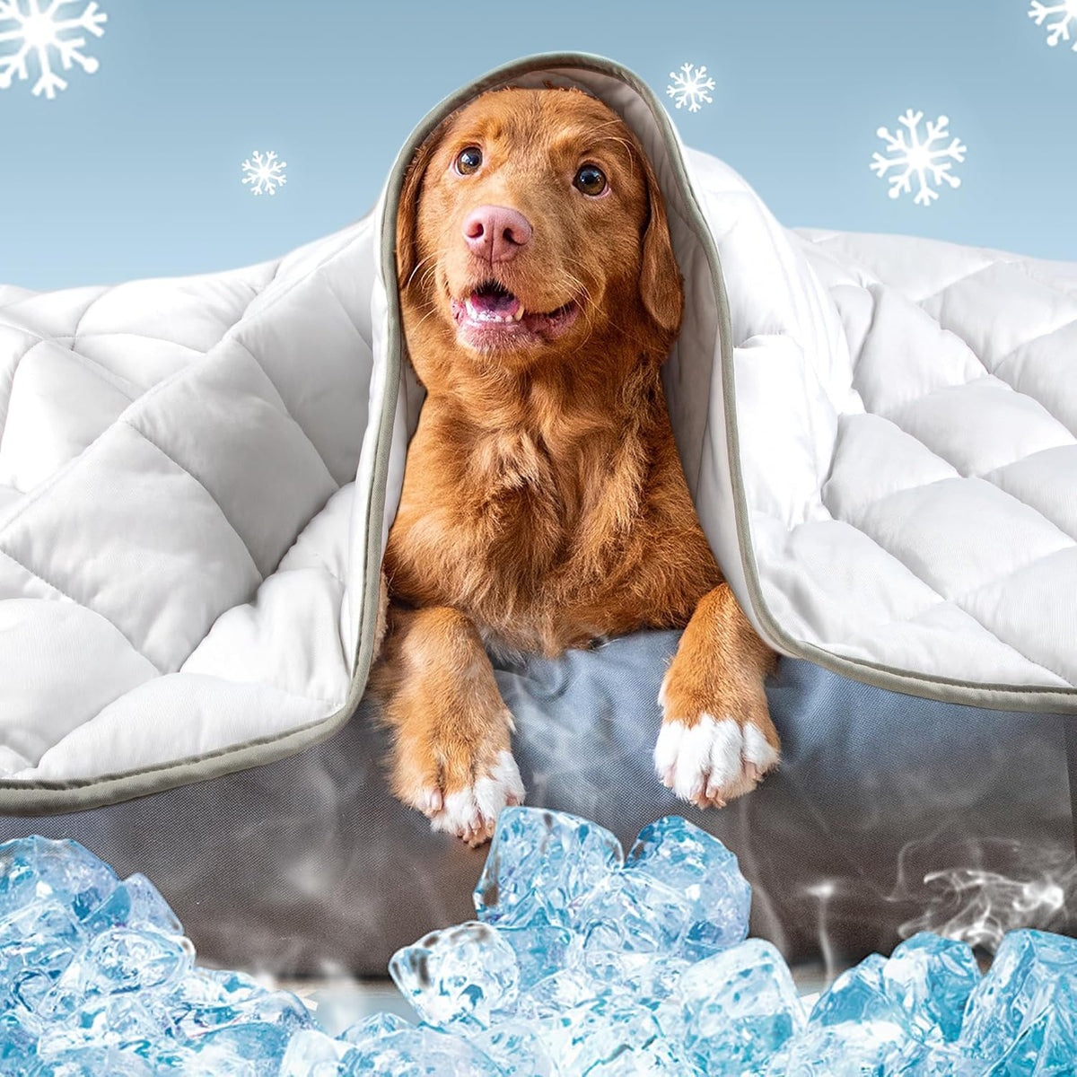 Leekalos Dog Cooling Mat, Summer Pet Cooling Pad for Cats & Dogs - Medium(29"x40") / Cool Grey
