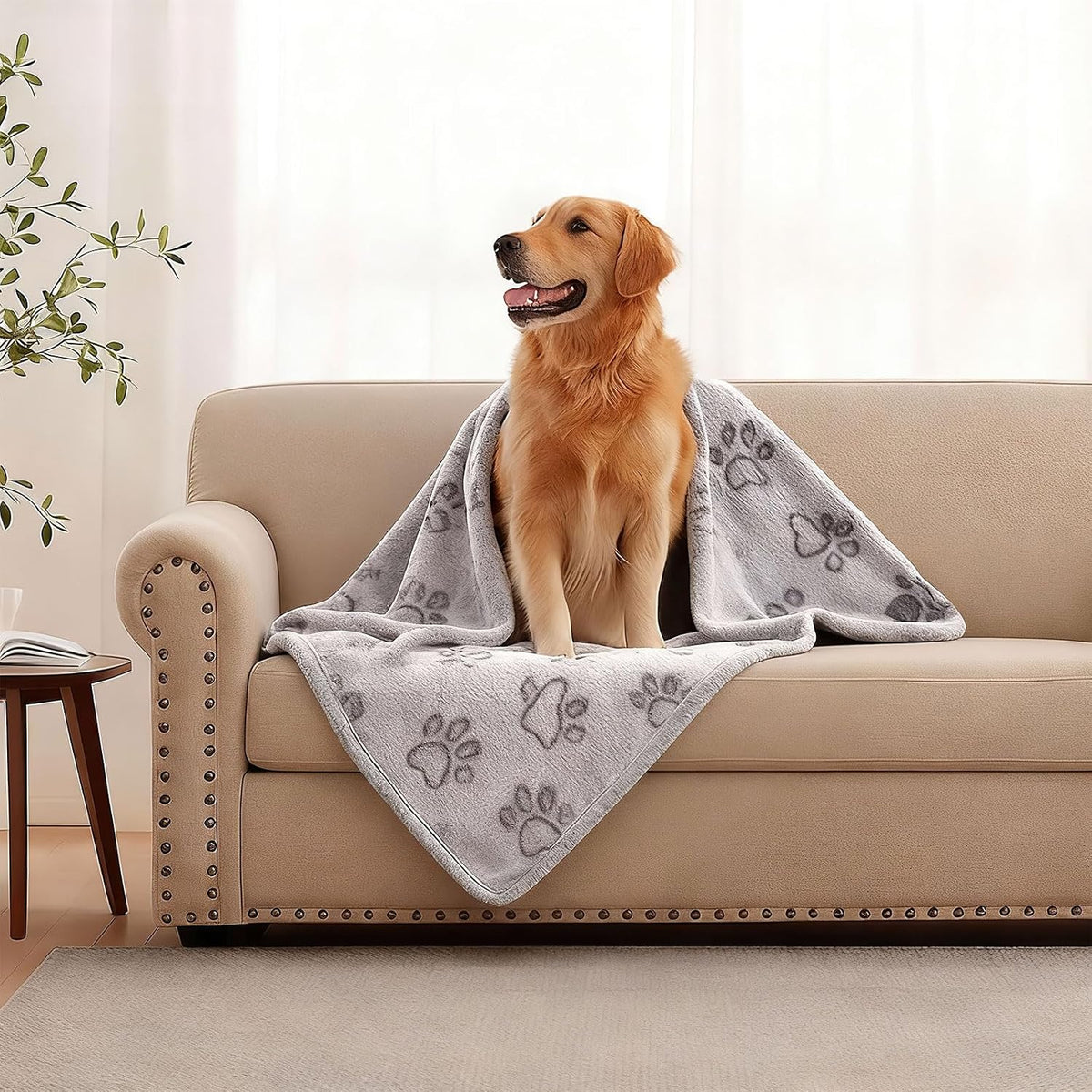 41" x 30" Dog Blankets for Medium Dogs, Cat - 32" x 24" / Grey / 1 - image 2