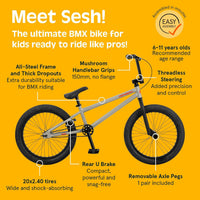 Retrospec Sesh BMX kids bike with steel frame, axle pegs and wide 20x2.40 tires - view 3