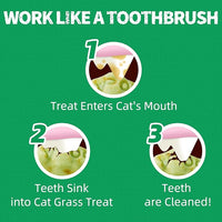 Just Try 13.4 OZ Crunchy Cat Treats Catnip Treats for Cats with Digestive Support, Natural Ingredients Kitten Treats with Real Salmon, Healthy Feline Snacks Training Biscuits Dental Care