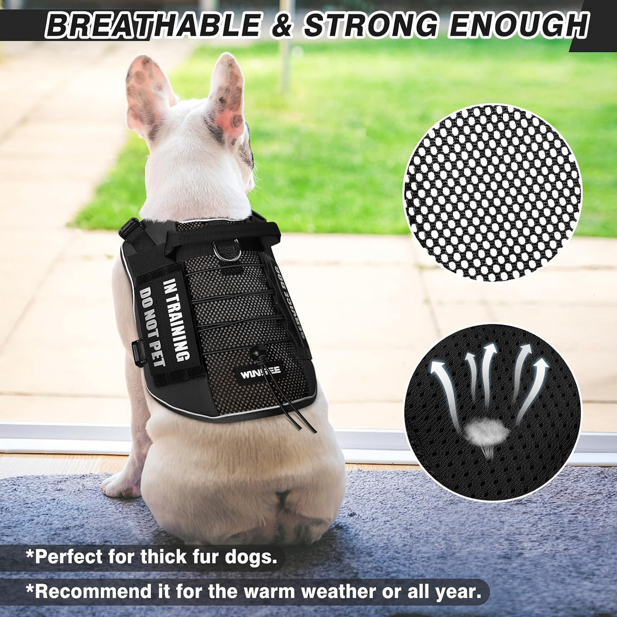 WINSEE Service Dog in Training Mesh Harness with 10 Removale Pet - Small / Black - image 2