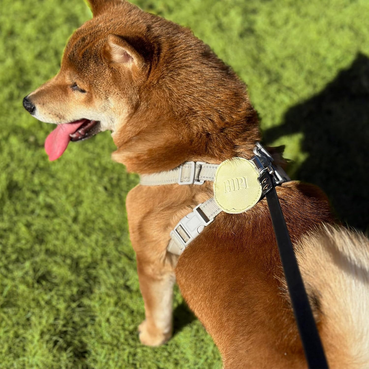Dog Training Long Leash Waterproof Long Line Heavy Duty Outdoor - 20FT / Black - image 2