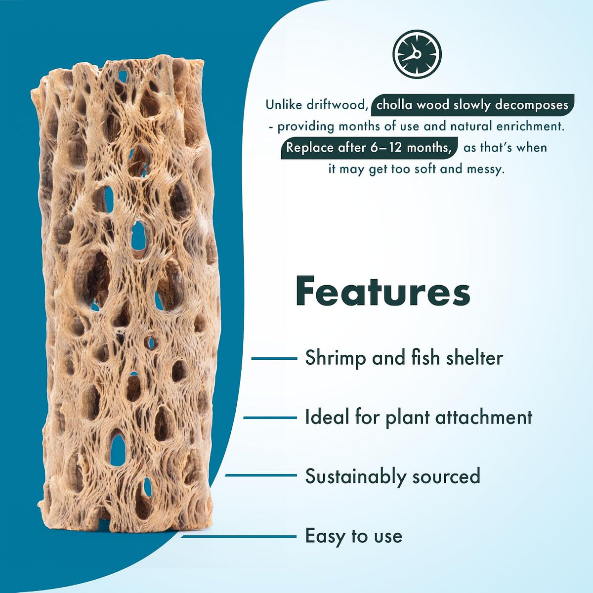 Natural Cholla Wood, Driftwood for Aquariums, Air Plant Base - Tunnel / 4 Inch, 1pc - image 3