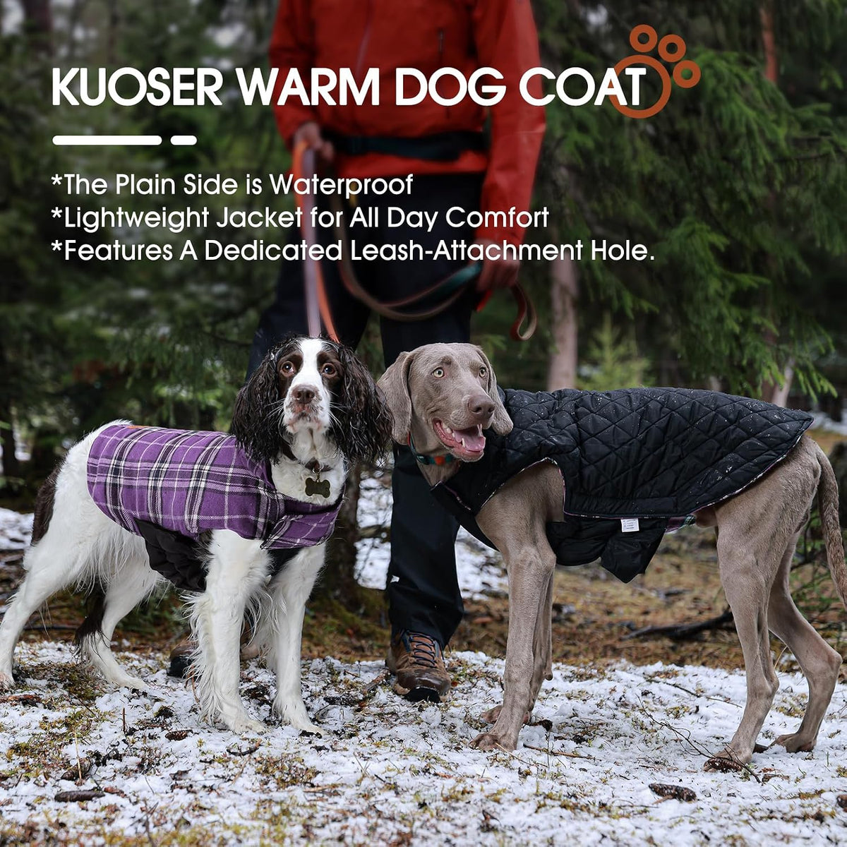 Kuoser Waterproof Dog Coat - Purple / Small (Pack of 1) - image 3