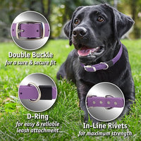 Biothane Custom Dog Collar – Waterproof, Stink-Proof Personalized Collar with Name & Phone Number – Durable, Many Sizes and Colors – Assembled in USA (Black)