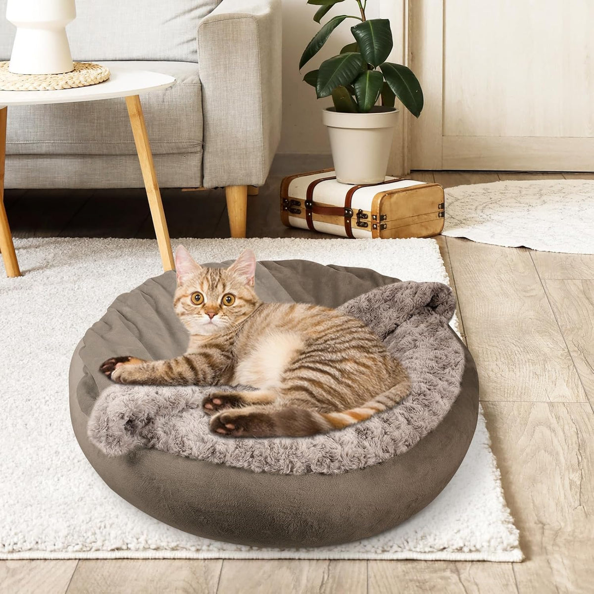JOEJOY Small Dog Bed Cat Bed with Hooded Blanket - M(26" x 26" x 8") / Dark Brown - image 4