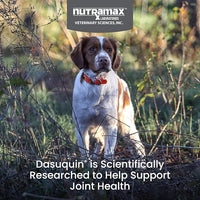 Nutramax Laboratories Dasuquin with MSM Chewables, Small/Medium Dog, 150 Count, White