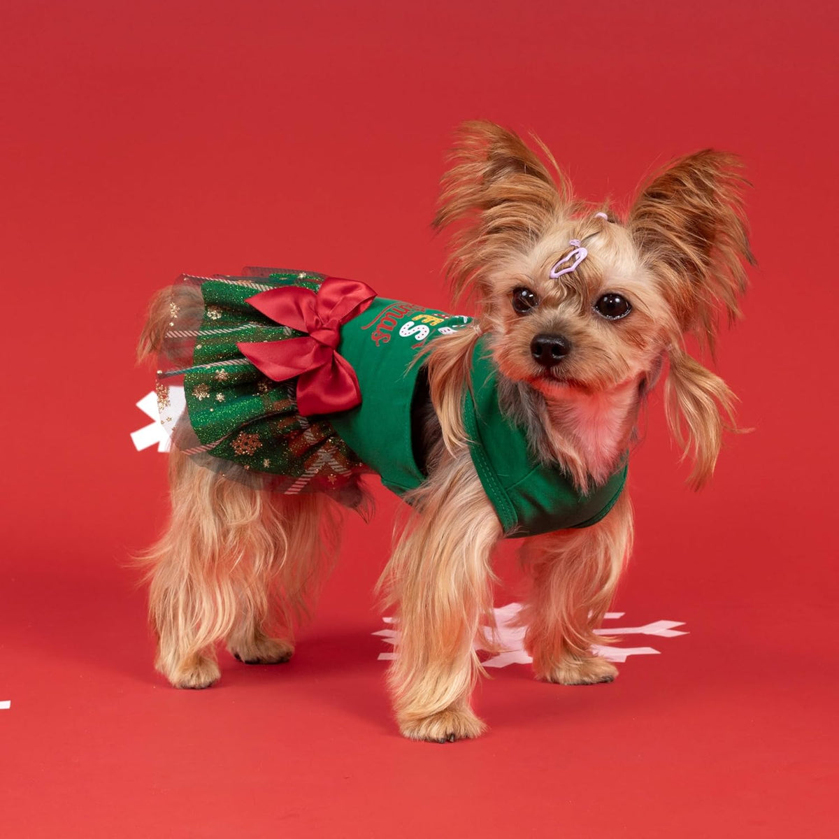 Fitwarm Halloween Skeleton Dog Dress - Medium / Just a Girl Who Loves Christmas - image 3