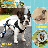 Dog Wheelchair for Back Legs, Adjustable Mobility Cart for Dog – Essentials for Dogs - Black for 6.3-11.3lb - image 3