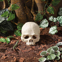 Resin Reptile Hideout for Tank Realistic Skull Decor for Terrarium - White - image 2