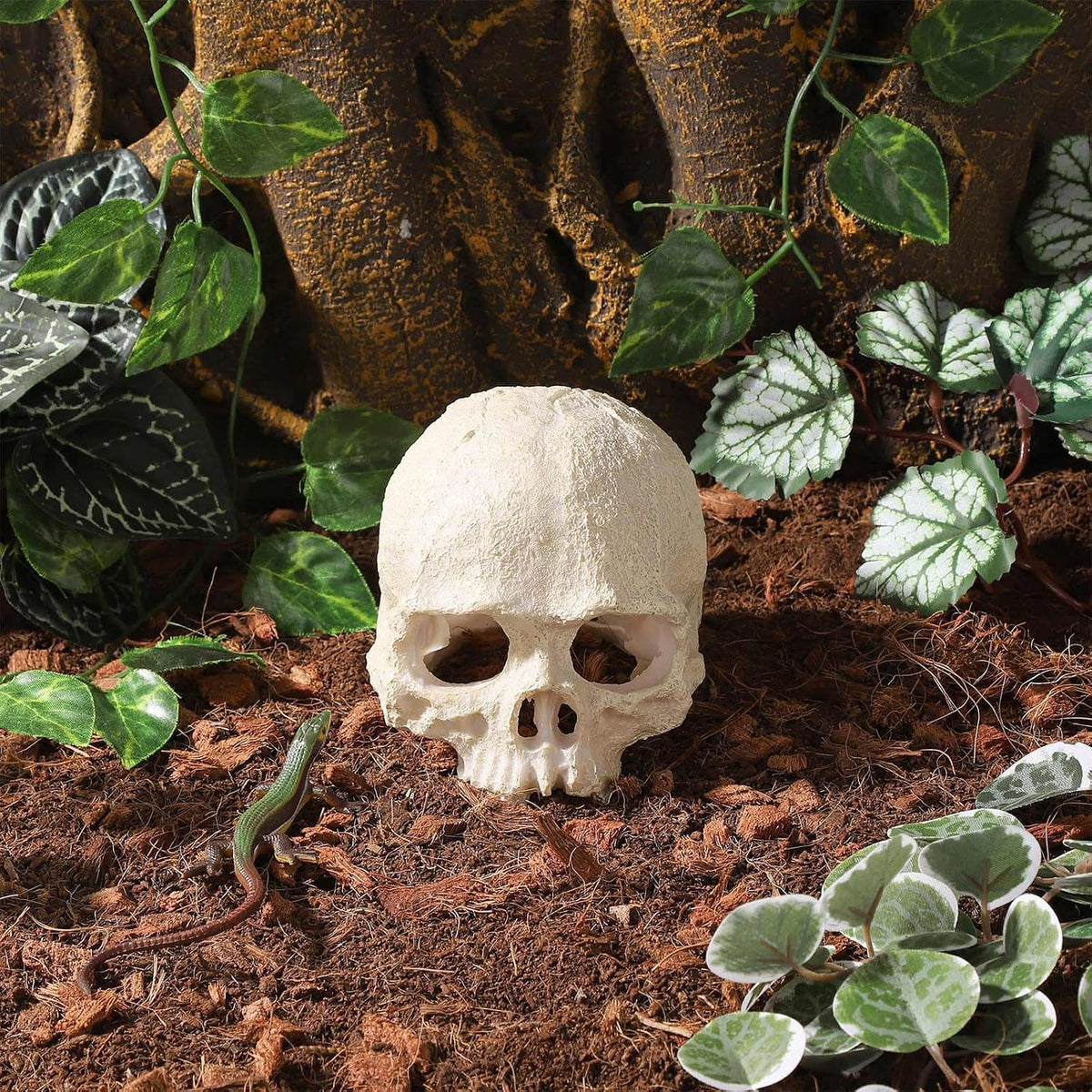 Resin Reptile Hideout for Tank Realistic Skull Decor for Terrarium - White - image 2