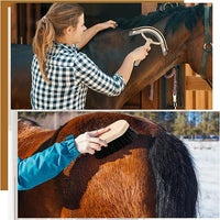 Abbylike 12 Pieces Horse Grooming Kit Racing Festival Tack Room Supplies Horse Brush Sets Equine Care Cleaning Kit Shedding Grooming Massaging Tools(Black)