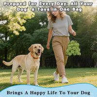 Magicorange Tennis Balls for Dogs - Yellow / 16 Pack - image 4
