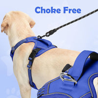 Funfox Dog Harness Medium Sized Dog - Blue / X-Large - image 4