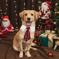 ADOGGYGO Fall Dog Neck Tie - Large / Red & Black - image 2